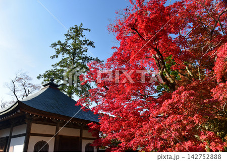 紅葉に包まれる永源寺 142752888