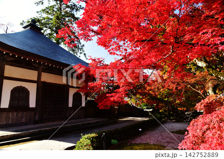 紅葉に包まれる永源寺 142752889