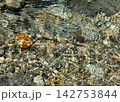 清流の美しい流れ 清流の美しい流れ 142753844