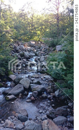 秋田県の自然豊かな渓流と木漏れ日の森 142754863
