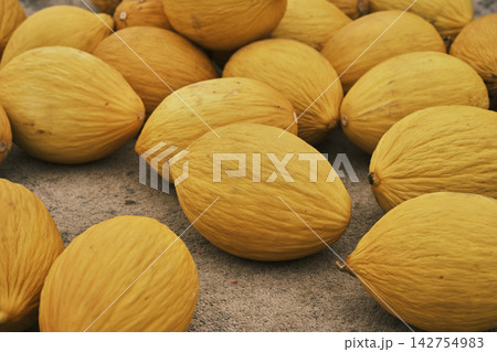 fresh melons in the market fresh melons in the market 142754983