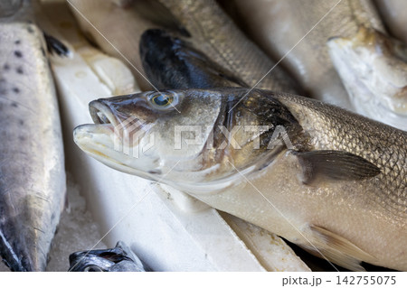 delicious fresh fish in the market delicious fresh fish in the market 142755075