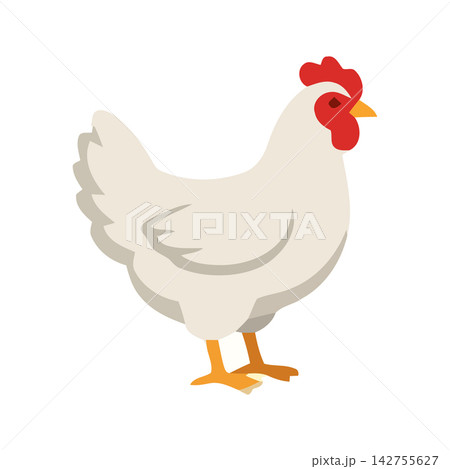 Adorable vector illustration of a white cartoon hen standing on a seamless background. Perfect for farming or Easter themes. 142755627