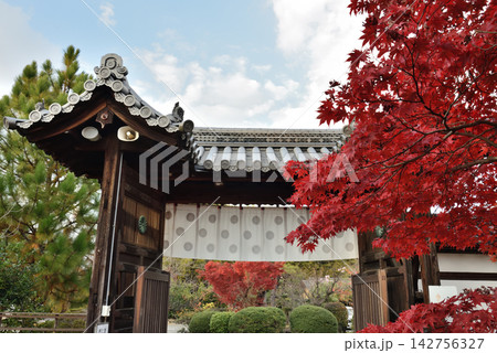 勧修寺　秋の勅使門(京都市山科区) 142756327
