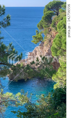 Rocky cliffs overlook azure Mediterranean sea waters amidst lush pine trees in a secluded coastal bay featuring jagged stone formations and vibrant greenery under a clear blue midday sky, vertical 142756556