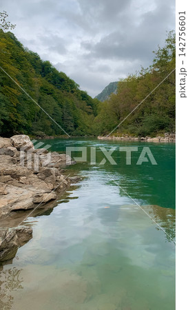 Moody forest river perspective highlights deep reflective water surfaces and rugged stone banks surrounded by overhanging tree branches under heavy grey clouds evoking a sense of calm solitude 142756601