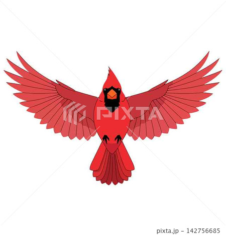 Cardinal Bird Flying with Open Red Wings in Isolated Vector Style Cardinal Bird Flying with Open Red Wings in Isolated Vector Style 142756685