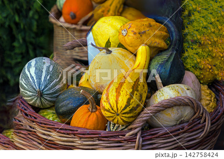 Gourd fruit pile in basket 142758424