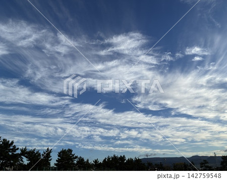 青空に広がる白い筋雲とうろこ雲の風景 青空に広がる白い筋雲とうろこ雲の風景 142759548