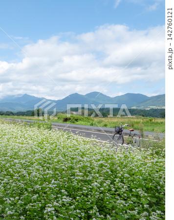 蒜山高原に咲くソバの花をサイクリングで楽しむイメージ 蒜山高原に咲くソバの花をサイクリングで楽しむイメージ 142760121