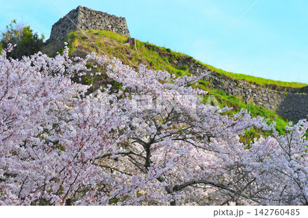 春の岡城址 春の岡城址 142760485