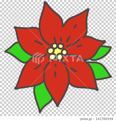 赤いポインセチアの花 142760549