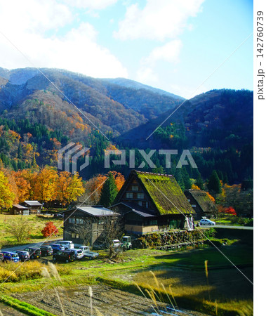 白川郷 紅葉 岐阜県 白川郷 紅葉 岐阜県 142760739