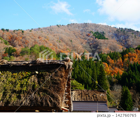 白川郷 紅葉 岐阜県 白川郷 紅葉 岐阜県 142760765