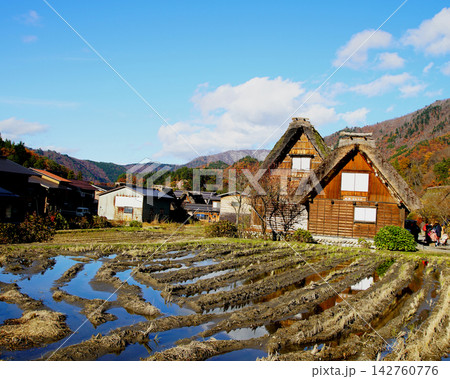 白川郷 紅葉 岐阜県 白川郷 紅葉 岐阜県 142760776