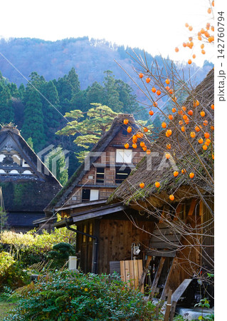 白川郷 紅葉 岐阜県 白川郷 紅葉 岐阜県 142760794
