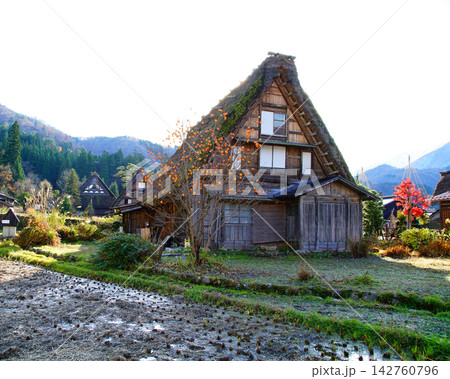 白川郷 紅葉 岐阜県 白川郷 紅葉 岐阜県 142760796