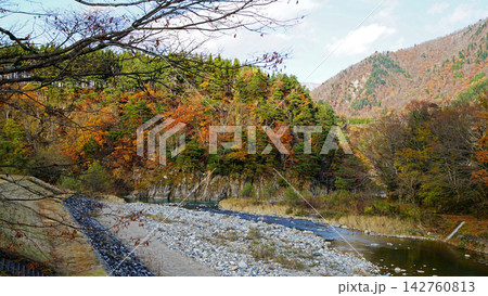 白川郷　紅葉　岐阜県 142760813