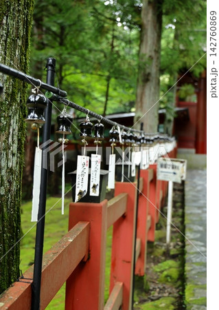 日光二荒山神社の参道 142760869