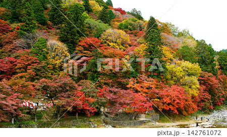 香嵐渓 紅葉 香嵐渓 紅葉 142761072