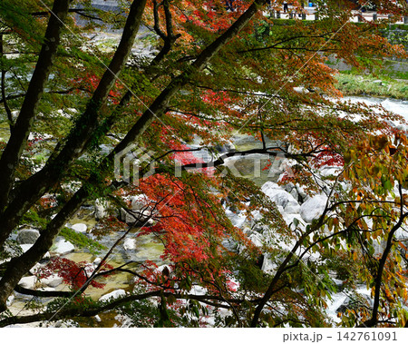 香嵐渓 紅葉 香嵐渓 紅葉 142761091