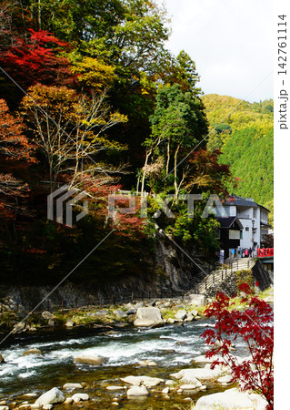 香嵐渓　紅葉 142761114
