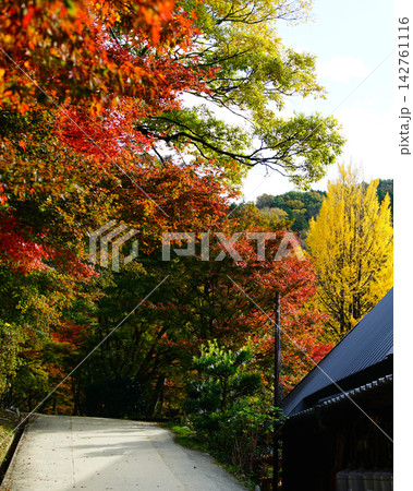 香嵐渓 紅葉 香嵐渓 紅葉 142761116