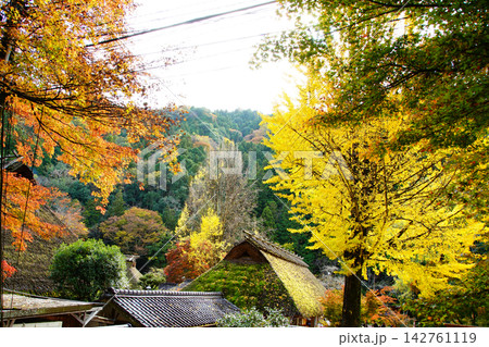 香嵐渓 紅葉 香嵐渓 紅葉 142761119