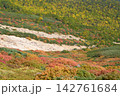 山肌を赤と黄の絨毯のように埋め尽くす高山帯の緻密な紅葉グラデーション 142761684