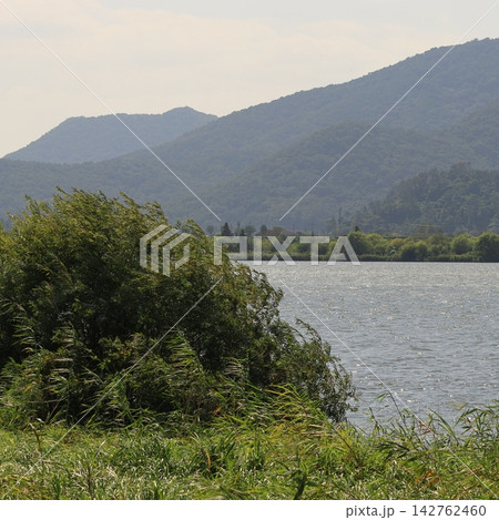 Windblown Riverside and Mountain Landscape Windblown Riverside and Mountain Landscape 142762460