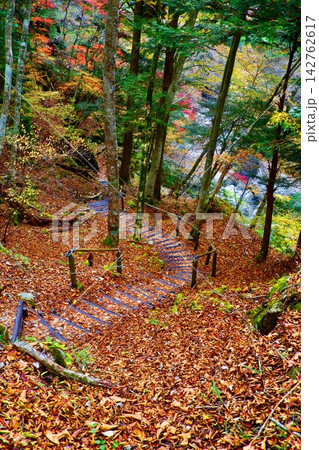 みたらい渓谷・紅葉（奈良県・天川村） 142762617