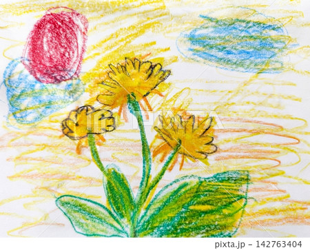 クーピーで描いたたんぽぽ 142763404