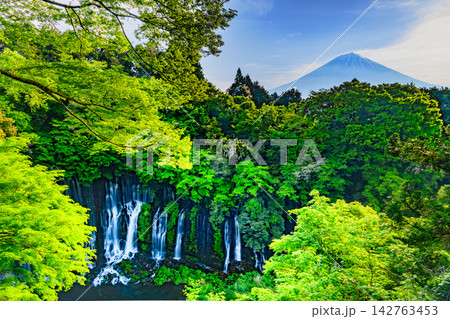 新緑の白糸の滝展望台から右上に富士山を配置しスローシャッターで捉えた涼しげな美しい流れ 新緑の白糸の滝展望台から右上に富士山を配置しスローシャッターで捉えた涼しげな美しい流れ 142763453