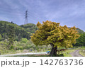 田舎の長閑な風景 142763736