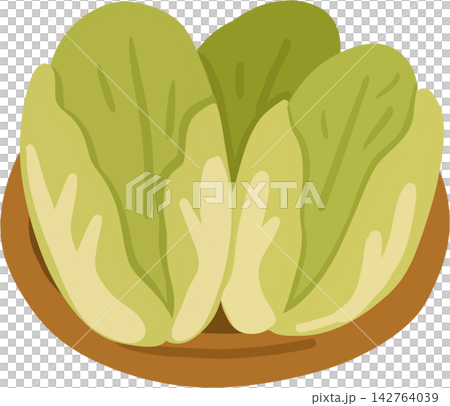 Napa Cabbage in Basket 142764039