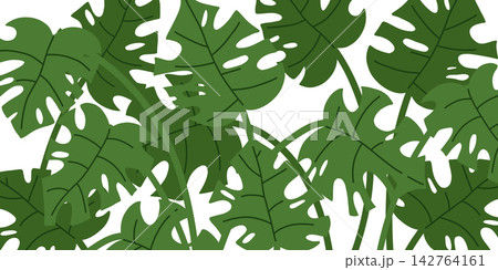 Dense tropical foliage composition with monstera leaves and exotic greenery for botanical backgrounds, textile design, wallpaper, packaging, home decor and nature themed branding 142764161