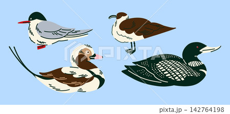 Arctic seabird collection with northern ducks, gulls and marine birds for wildlife education, children books, coastal posters, educational cards, nature stationery and ocean themed projects Arctic seabird collection with northern ducks, gulls and marine birds for wildlife education, children books, coastal posters, educational cards, nature stationery and ocean themed projects 142764198