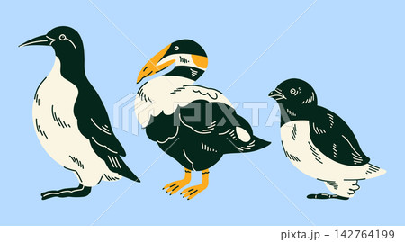 Group of Arctic seabirds Little auk, Common eider, Uria for wildlife education, children books, ocean themed posters, educational cards, nature decor and polar animal projects 142764199