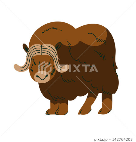 Musk ox illustration with thick brown fur and curved horns for Arctic wildlife education, children books, animal cards, nature posters, nursery decor and polar themed projects 142764205