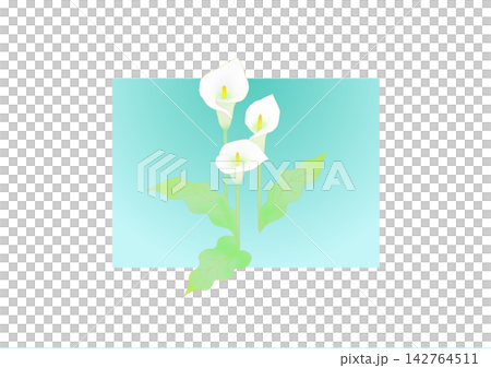 Color flowers 142764511