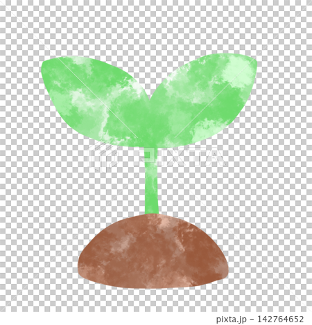 Plants sprouting from the soil, painted in watercolor. Plants sprouting from the soil, painted in watercolor. 142764652