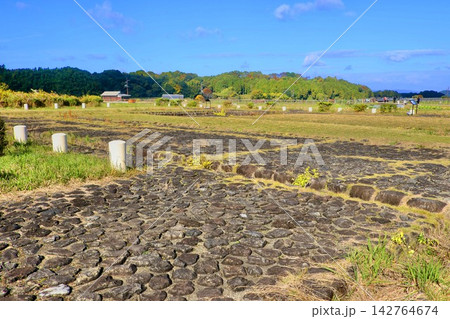 飛鳥宮跡・あすかきゅうせき（奈良県・明日香村） 142764674