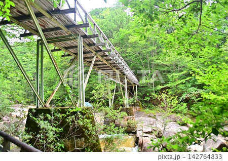 新緑のふれあいの道から見上げる向山コースの中立橋 142764833