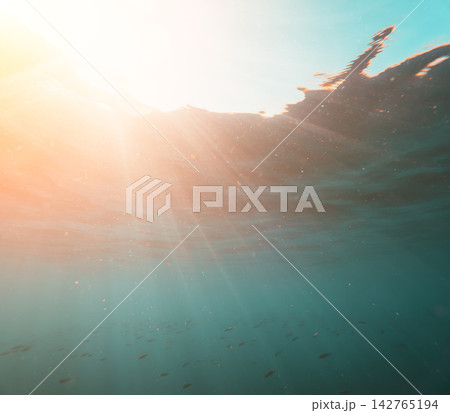 Teal ocean depths illuminated by warm golden sunrays filtering through clear water with small schooling fish 142765194