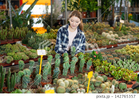 Girl works as auxiliary worker in plant store warehouse, review cactus seedling 142765357