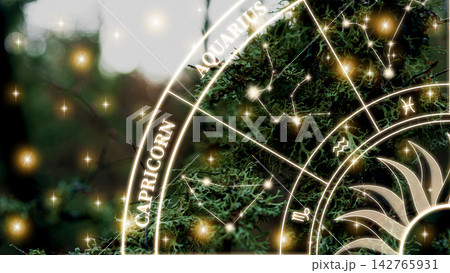 Astrology zodiac signs display with Capricorn and Aquarius on a natural background under stars Astrology zodiac signs display with Capricorn and Aquarius on a natural background under stars 142765931