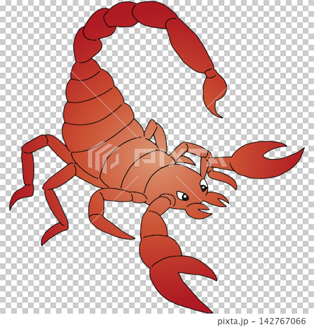 手繪動物插畫 ☆ 蝎子 手繪動物插畫 ☆ 蝎子 142767066