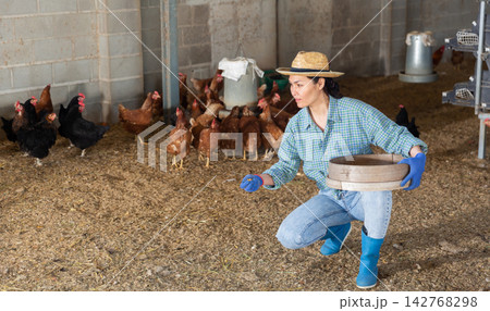 Kazakh woman feeds laying hens Kazakh woman feeds laying hens 142768298