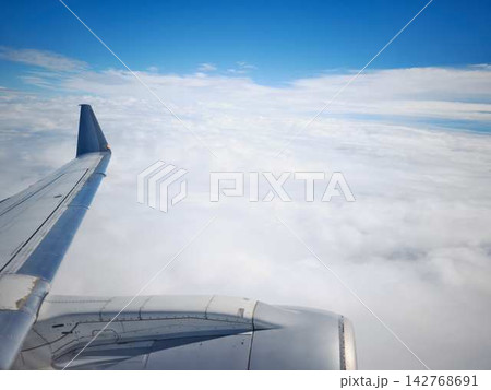 飛行機の翼 142768691