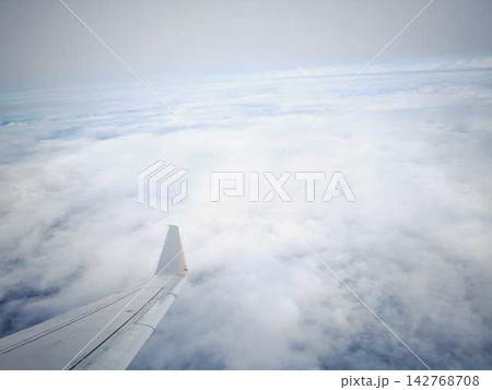 飛行機の翼 142768708